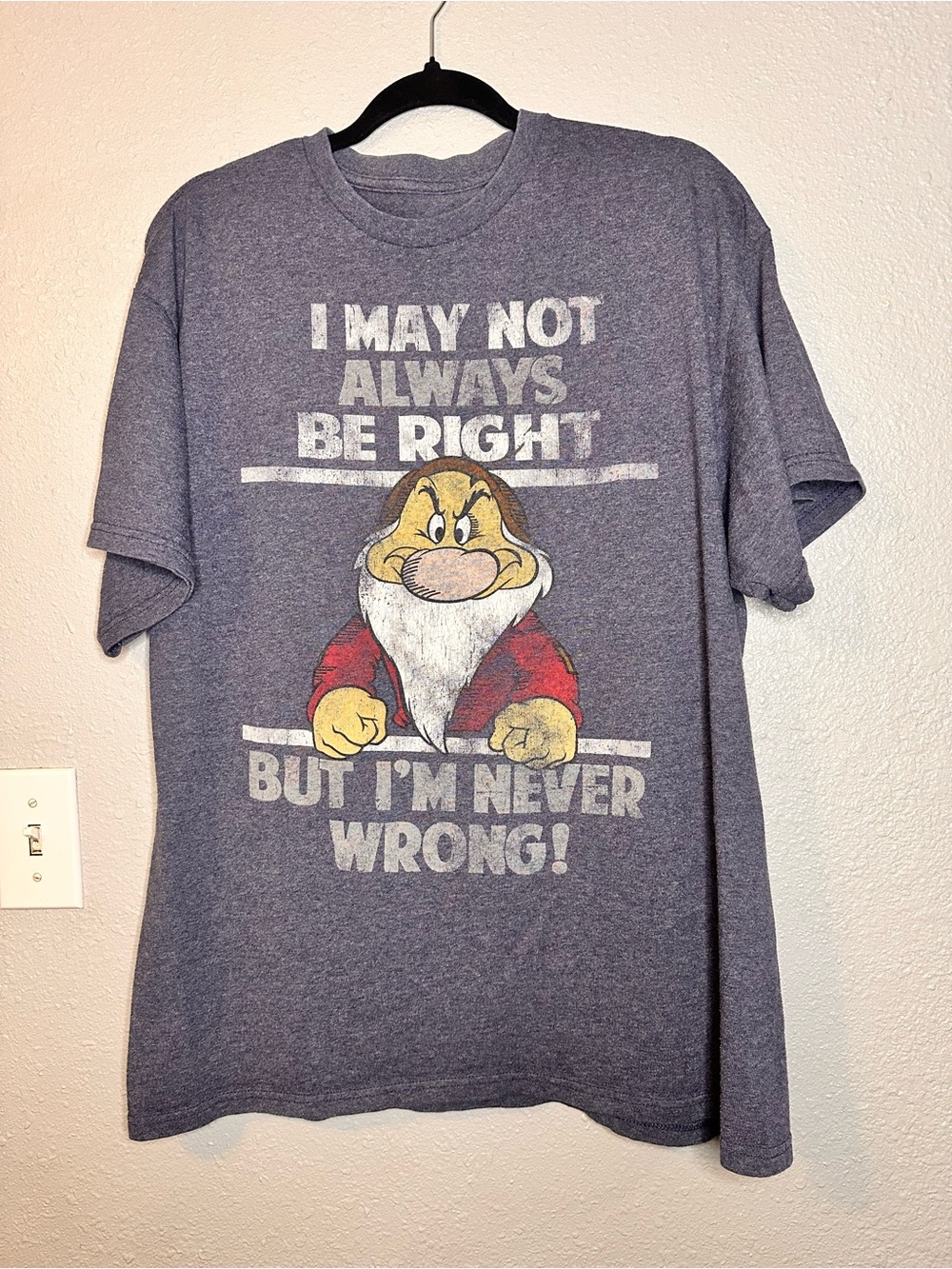Disney Men's Short Sleeve Tee - Gray with Grumpy Dwarf Graphic